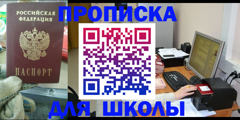временная регистрация надежно в Барыше